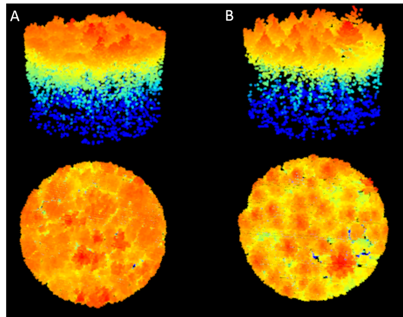 graphic of Figure 2: G-LiHT point cloud showing structural differences between (A) a broadleaf dominated forest and a (B) conifer dominated forest.